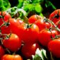 Tomat kaya akan vitamin A dan likopen, yang penting untuk kesehatan mata. (Pixabay.com/ Couleur)

