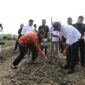 Wakil Menteri Pertanian (Wamentan), Sudaryono. (Dok. Kementerian Pertanian)
